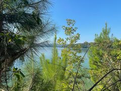 -广州市流溪河国家森林公园