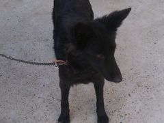 android_upload_pic-万利隆·活力烘焙(人民路店)