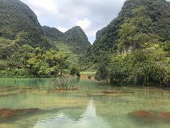 -靖西鹅泉风景区