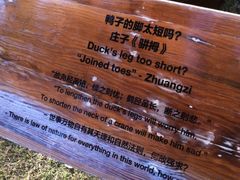 游乐设施-静安雕塑公园