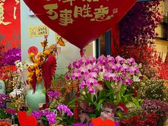 -溪岸路花鸟市场