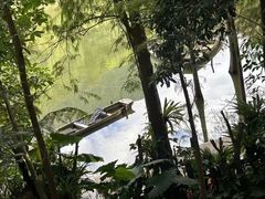 -深圳仙湖植物园