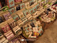 -大象粑粑造纸公园