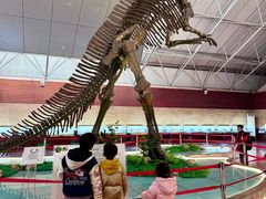 -诸城市恐龙博物馆