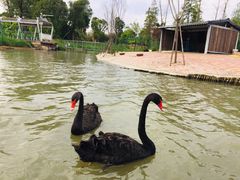 -琅岐红光湖公园