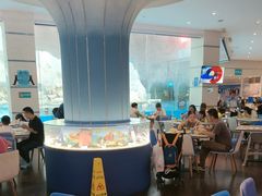 -帝企鹅自助餐厅•儿童岛•真企鹅(长隆企鹅酒店)