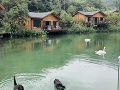 -杭州开元森泊度假乐园