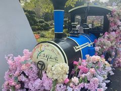 -上海鲜花港