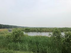 -白洋淀景区