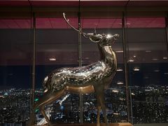 -北京柏悦酒店·锦庭餐厅Dining Room