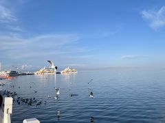 -青海湖国家重点风景名胜区