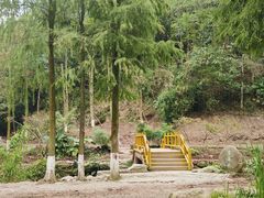 -重庆彩云湖湿地公园