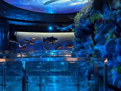 -陕西自然博物馆