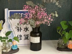 -雅曼妮spa美容养生