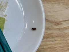 -陈家生煎(金融街万达店)