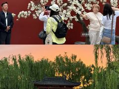 -华清宫景区