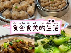 -新楚记