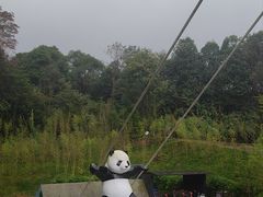 -中国大熊猫保护研究中心雅安碧峰峡基地