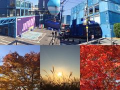 -乐天免税店(明洞店)