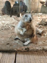 -Zoolung Zoolung动物主题公园(海信广场店)