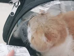 -爱侣宠医·鹦鹉专科·小型哺乳类·异宠专科(灵石路店)