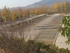 -龙门崮风景区
