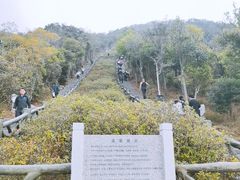 -梧桐山风景名胜区