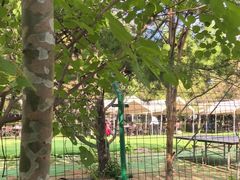 -尚庄度假村·庭台树下·户外烧烤·团建CS·轰趴营地(上庄水库店)