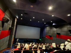 -飞扬影城(正佳IMAX店)