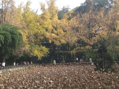 -四川大学(华西校区)