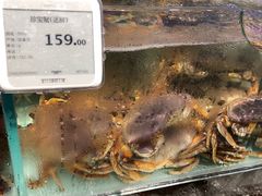 -超级物种·波龙工坊(国贸店)
