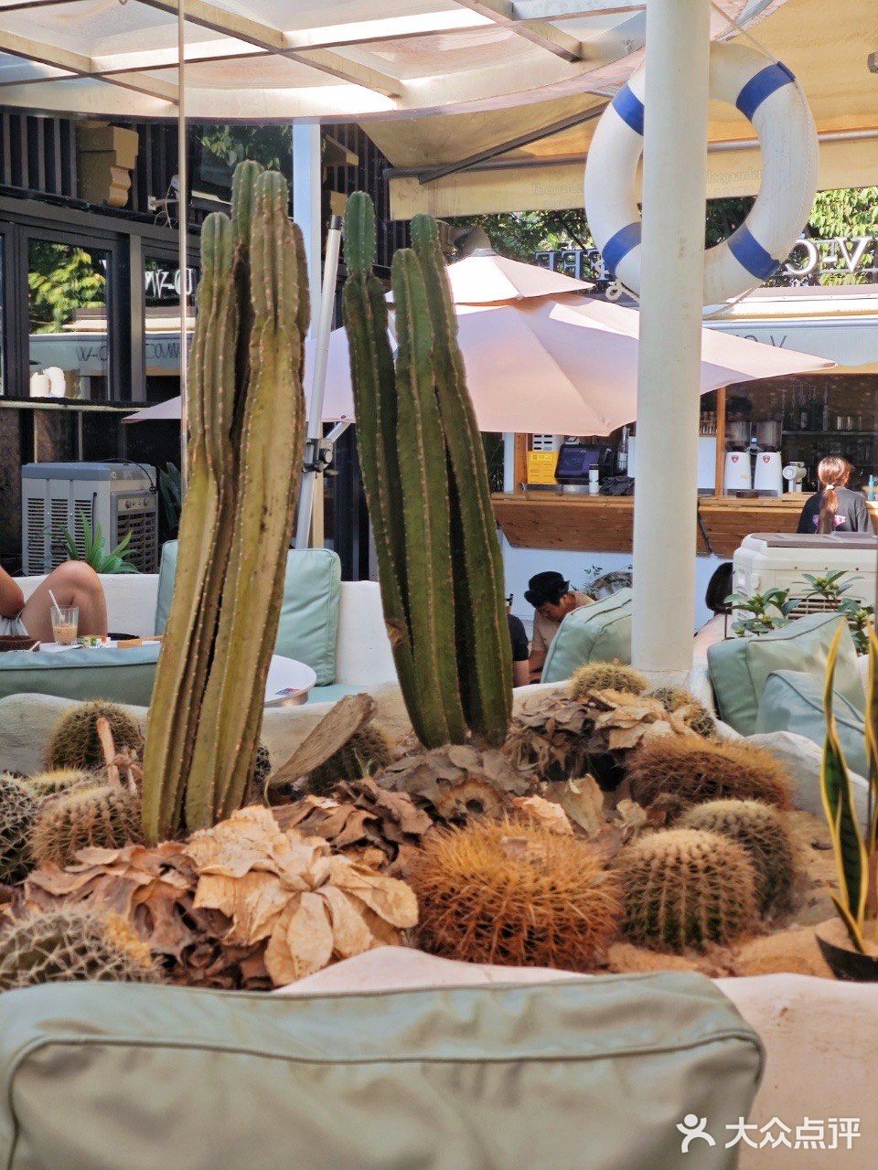 🍰问爆了！就在护城河边儿的咖啡店！✨