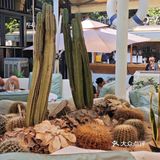 🍰问爆了！就在护城河边儿的咖啡店！✨