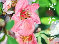 -海棠花溪(元大都城垣遗址公园)