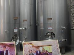 -源石酒庄