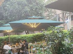 -金塔傣乡·德宏傣味·手抓饭·孔雀宴·云南民族特色菜(文化巷店)