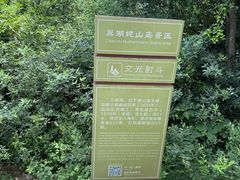 -巢湖姥山岛