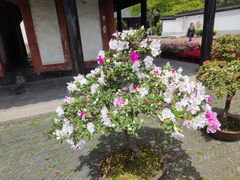 -上海方塔园
