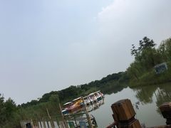 -南湖湿地公园