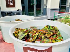 -仙人谷漂流景区