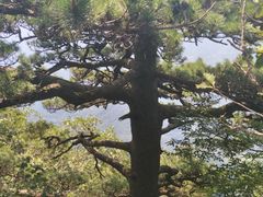 -罗田天堂寨风景区