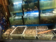 水产区-老东镇啤酒屋海鲜加工·蒸汽海鲜·海鲜烧烤(台东店)
