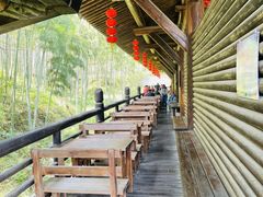 -大唐贡茶院