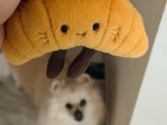 -Manner Coffee(深圳宝能All City店)