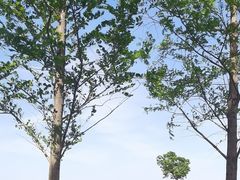 -嘉北郊野公园