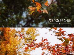 -广州市石门国家森林公园