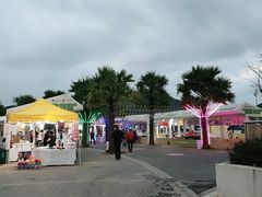-三亚游船旅游中心(三亚鹿回头游艇游船公共码头店)