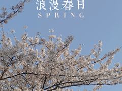-东湖磨山景区