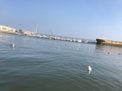 -星海水上乐园(星海广场圣亚店)