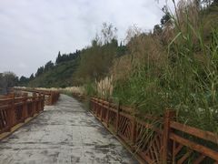 -月亮湾景区